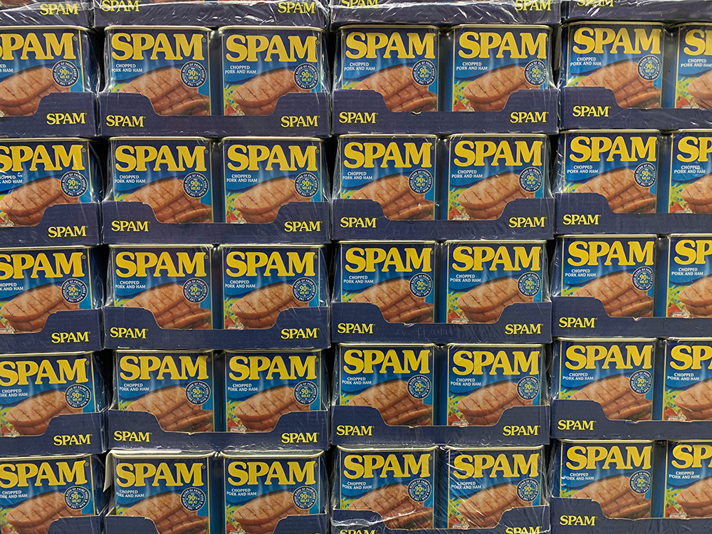 Why Your Emails Might Be Landing in Spam (And How to Check)